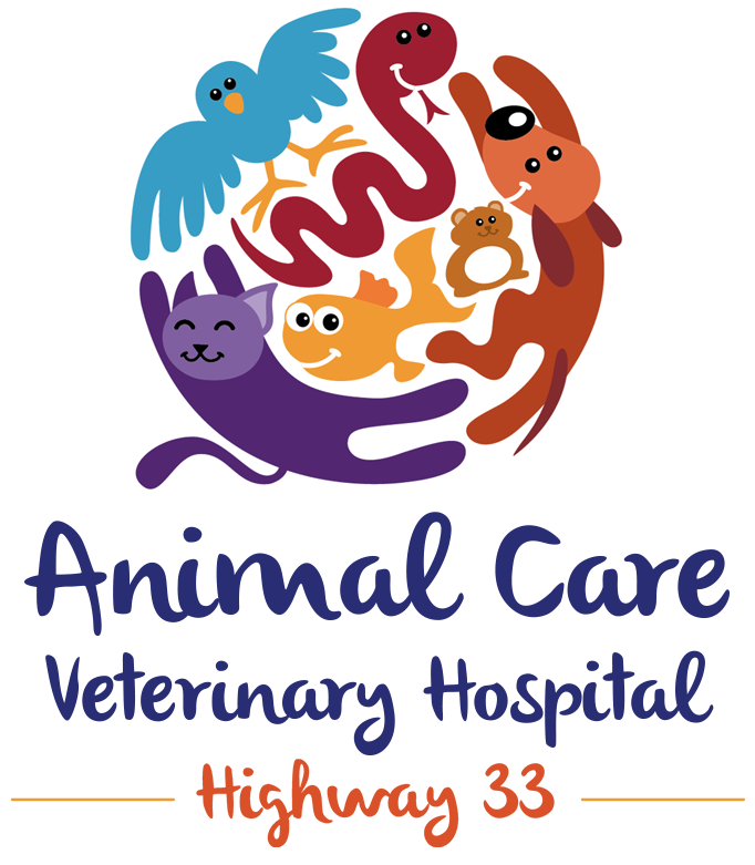 Animal Care terinary Hospital