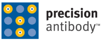 A&G Pharmacuetical - Precision Antibody Division