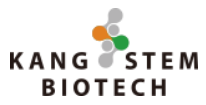 Kangstem Biotech Co., Ltd.