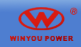 Chongqing Winyou Power Co., Ltd.