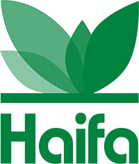 Haifa Group