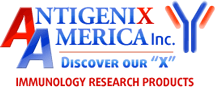 Antigenix America, Inc.