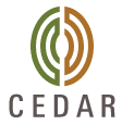 Cedar Management Consulting International