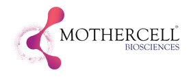 Dental stem cell Banking | Mothercell Biosciences
